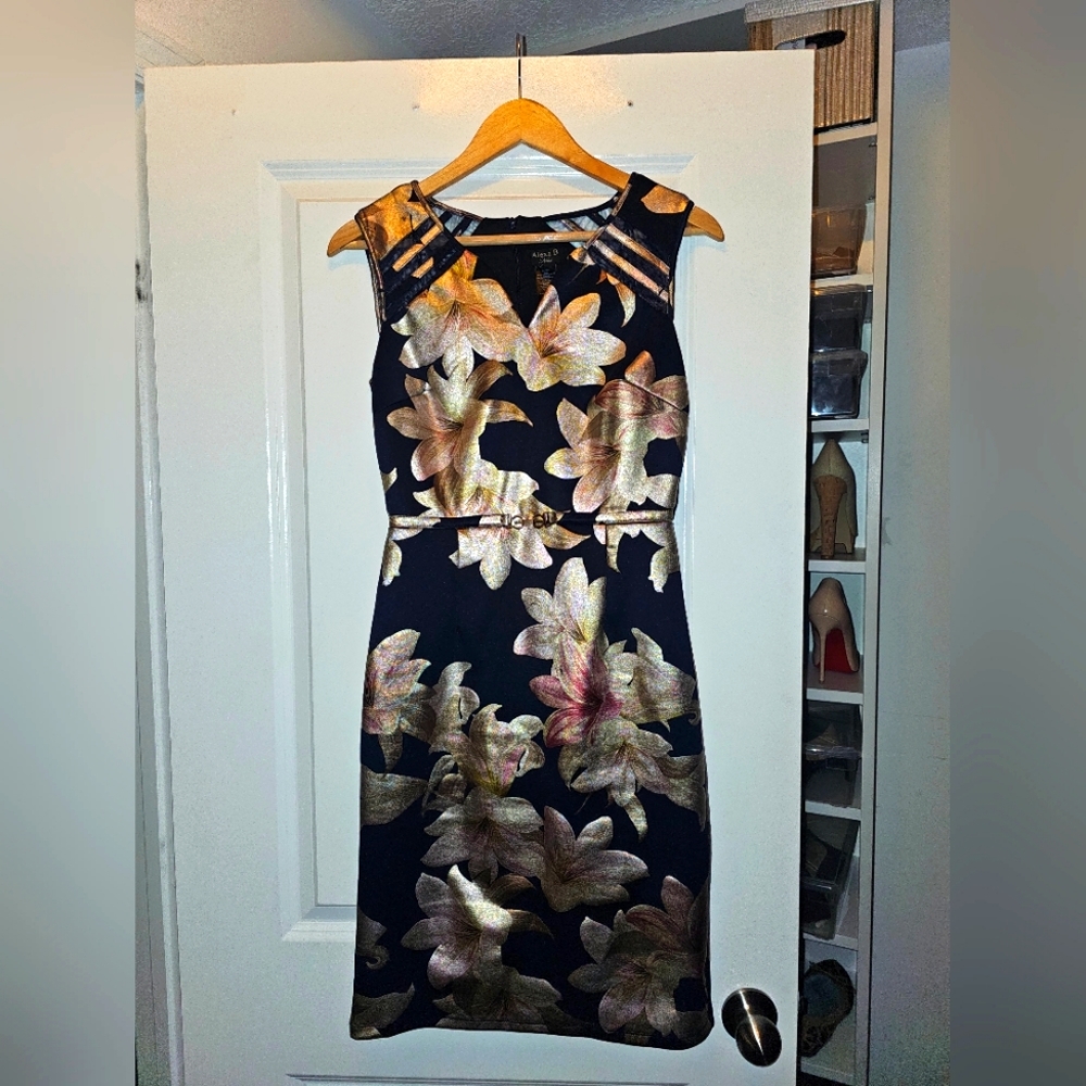 Size 6 Alexa B cocktail dress - Picture 1 of 4